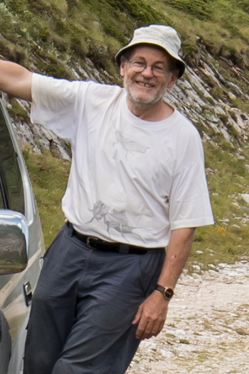 Daniel Roesti