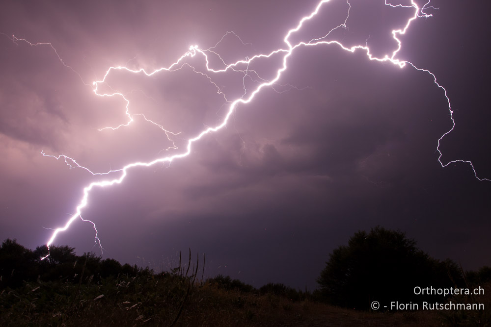 ....und es kann sich ein heftiges Gewitter entladen! - Mt. Vernon, 22.07.2012