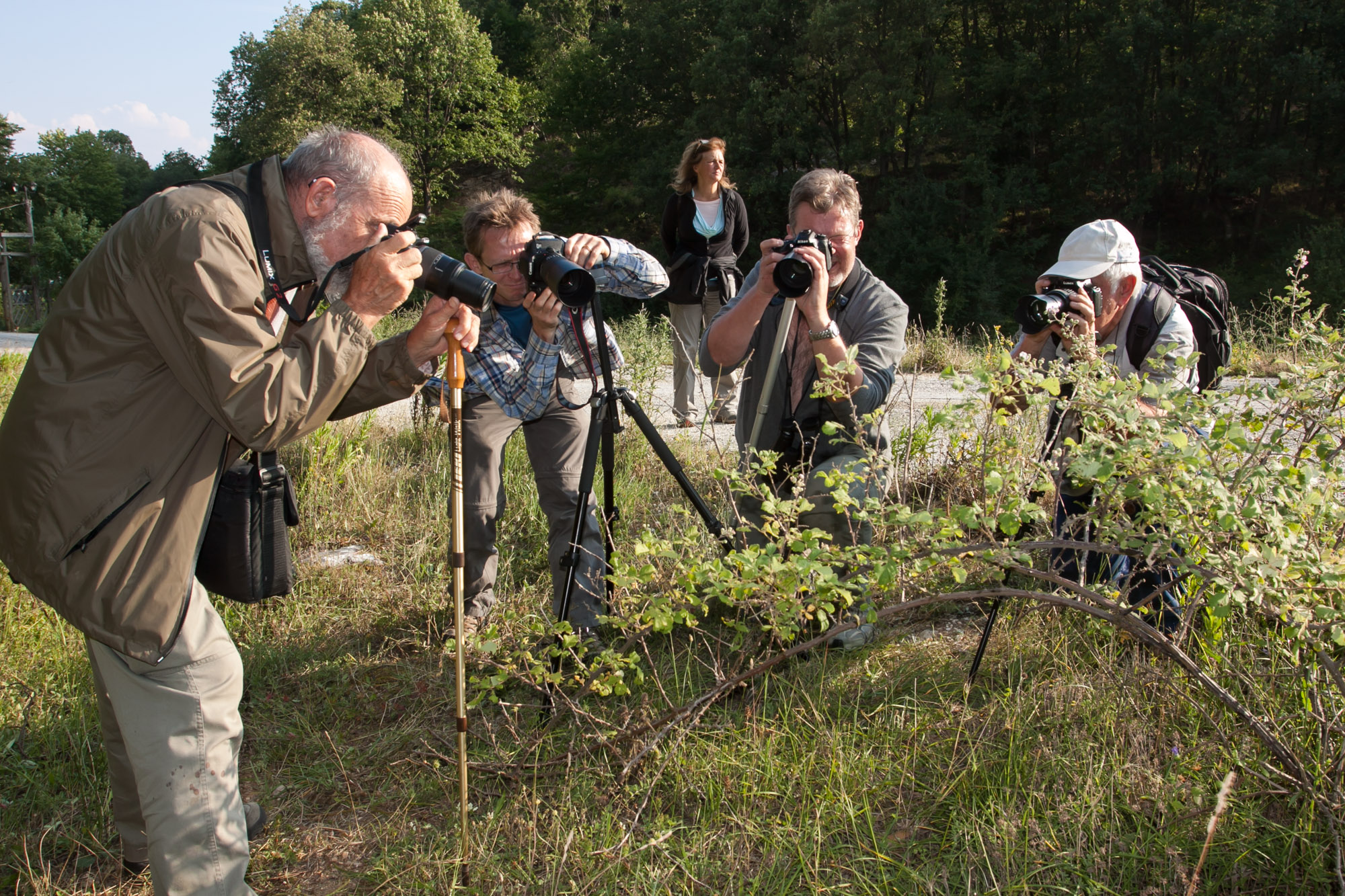 Nordgriechenlandreise 2013 - FR