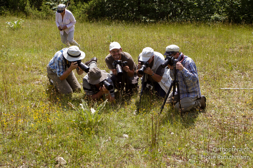 Glück hat, wer die beste Position inne hat - GR, Westmakedonien, Mt. Vernon, 10.07.2013
