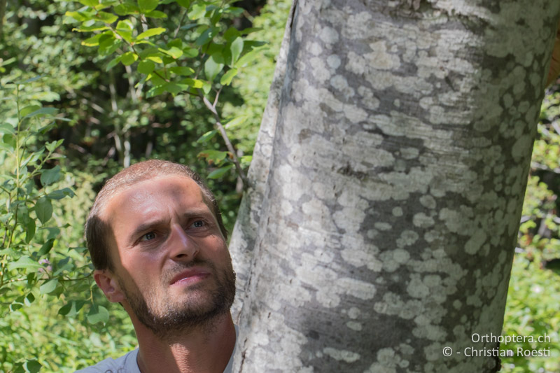 Florin hilft beim Fotografieren des Alpenbockes - GR, Westmakedonien, Kratero, 11.07.2017