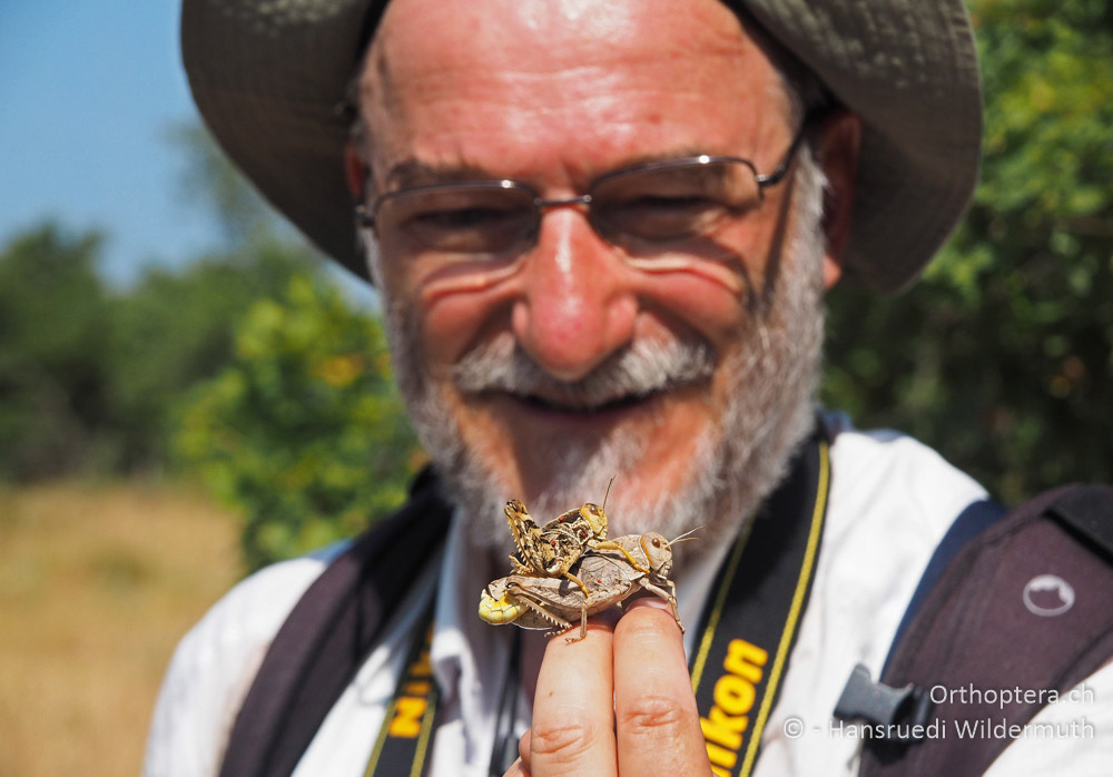 Stefan mit Prionotropis hystrix-Paar - HR, Istrien, Bokordići, 19.07.2015