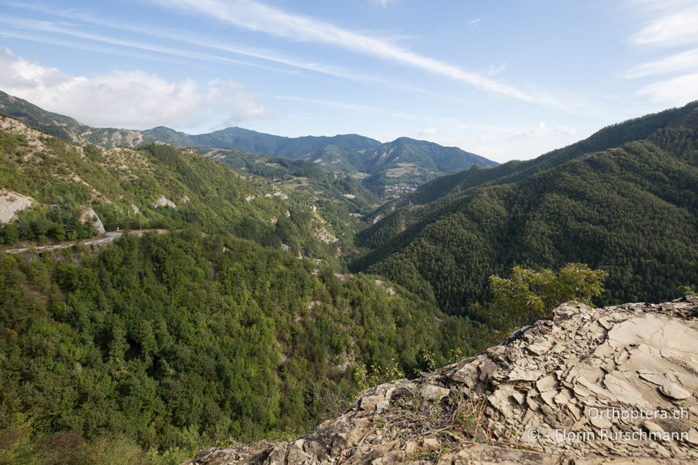 Gebirgslandschaft - IT, Emilia-Romagna, Campigna, 22.09.2014