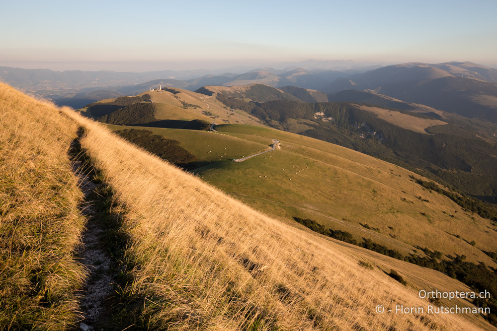 Bergwiesen - IT, Umbrien, Mt. Cucco, 26.09.2014