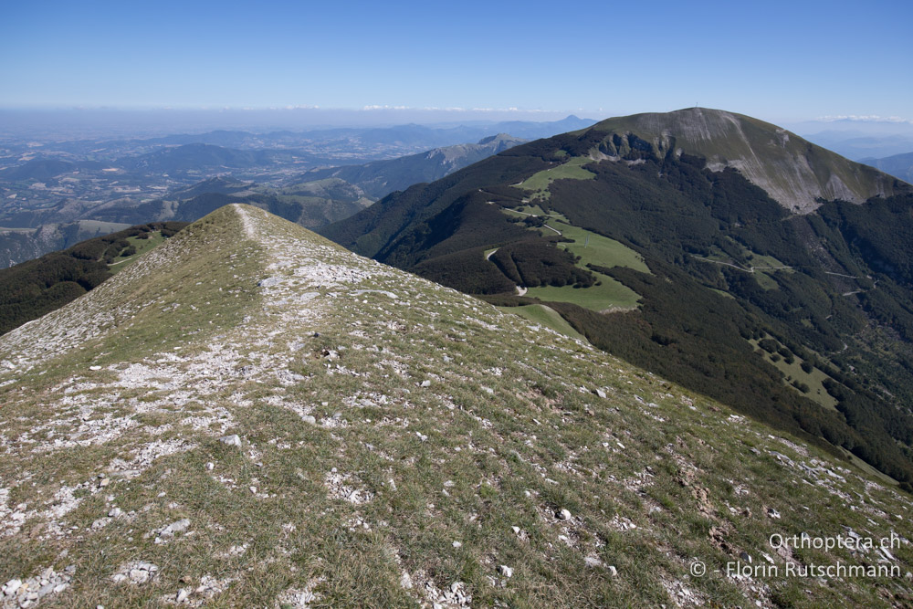 Blick zum Mt. Catria - IT, Marken, Mt. Catria, 27.09.2014