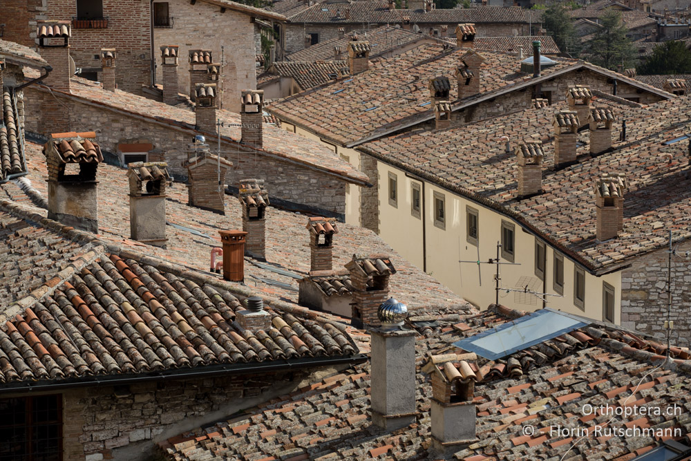 Altstadt von Gubbio - IT, Umbrien, Gubbio, 04.10.2014