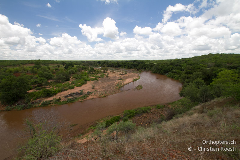 Mutale Fluss - SA, Limpopo, Mutale, Pafuri River Camp, 02.01.2015