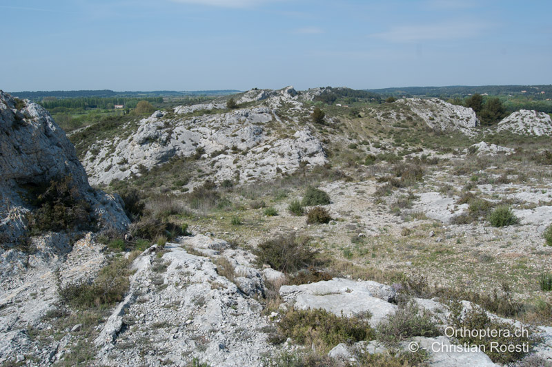 Kalkiger Höhenzug in Südfrankreich - FR, Bouches-du-Rhône, Maussane-les-Alpilles, 09.04.2009