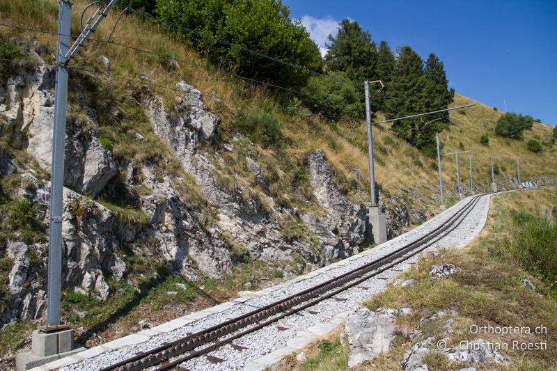 Kalkfelsen mit offenen Bodenstellen - CH, TI, Mt. Generoso, 17.08.2013