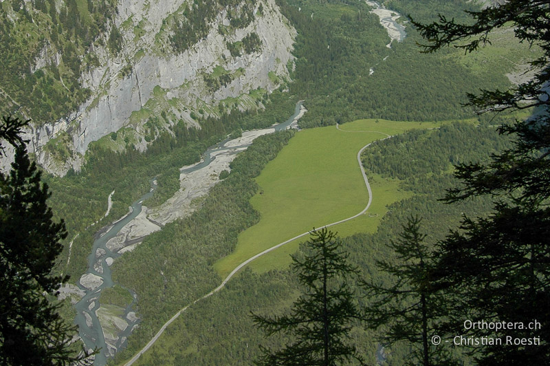 Ausblick auf die Schwemmflächen des Gasterntals - CH, BE, Sunnbüel, 29.06.2007