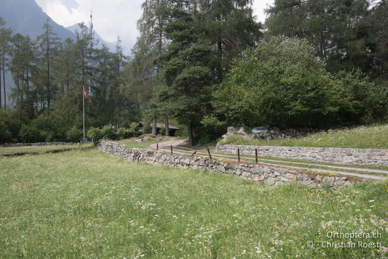 Wiesen mit Steinmauern - CH, GR, Puschlav, 25.07.2019