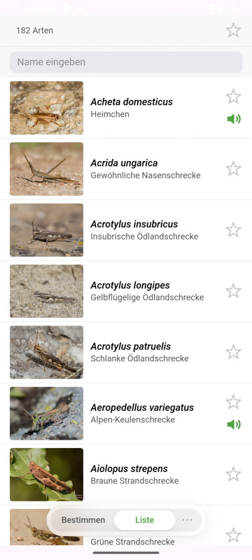 Orthoptera-App Android
