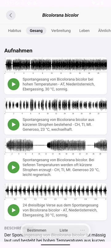Orthoptera-App Android