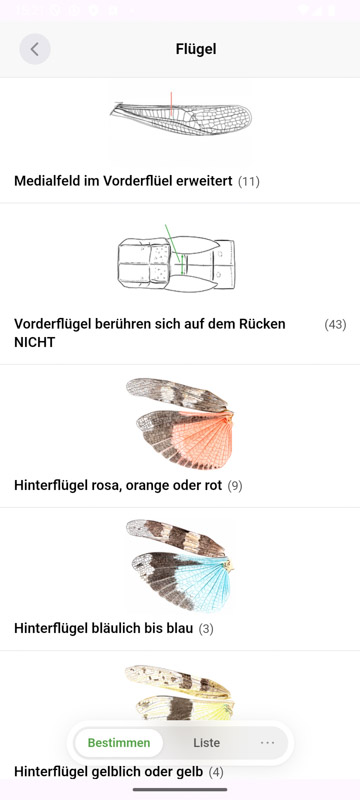 Orthoptera-App Android