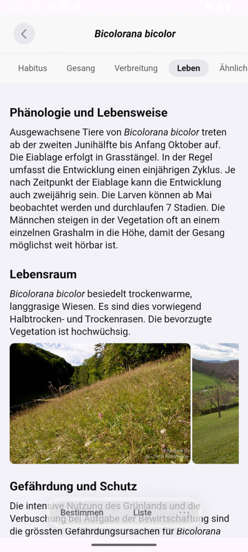 Orthoptera-App Android