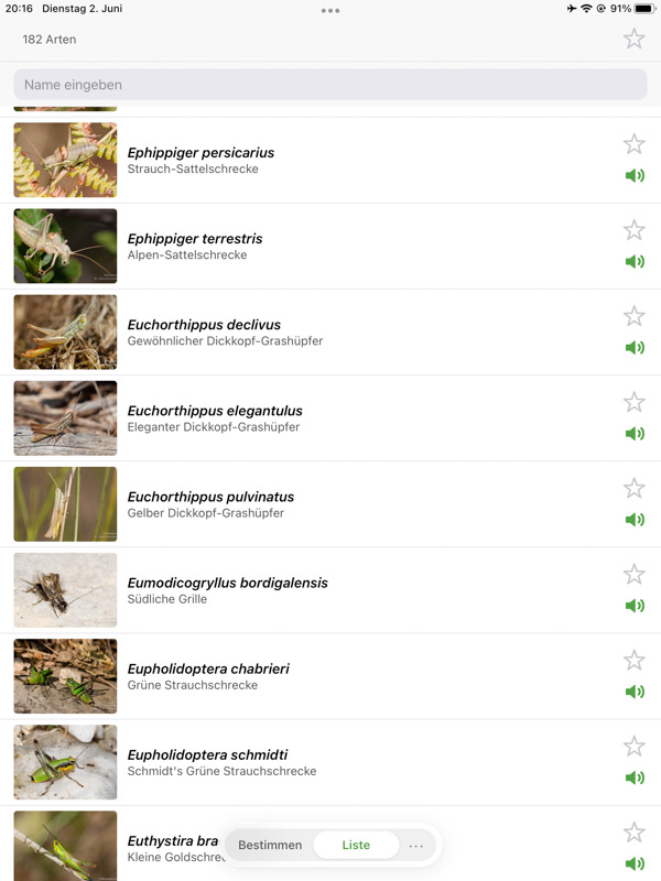 Orthoptera-App iPad
