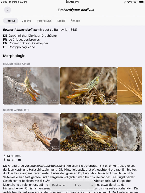 Orthoptera-App iPad