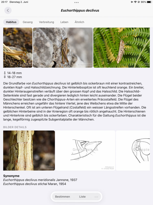 Orthoptera-App iPad