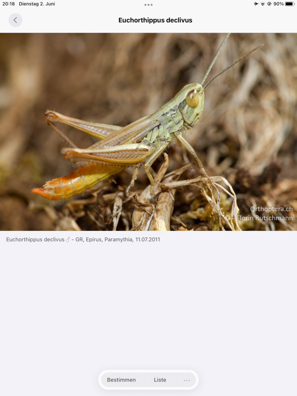 Orthoptera-App iPad