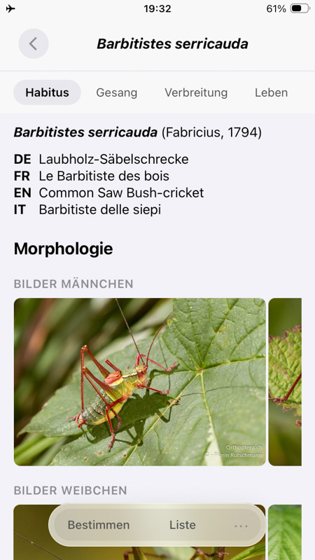 Orthoptera-App iPhone