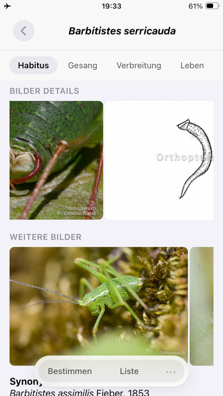 Orthoptera-App iPhone