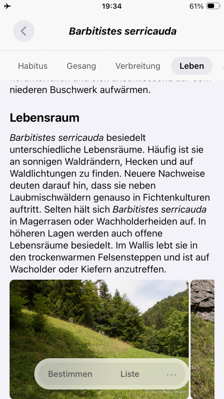 Orthoptera-App iPhone