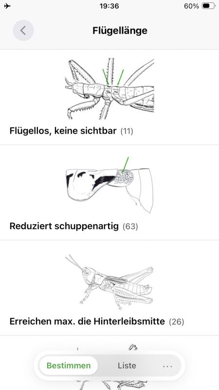 Orthoptera-App iPhone